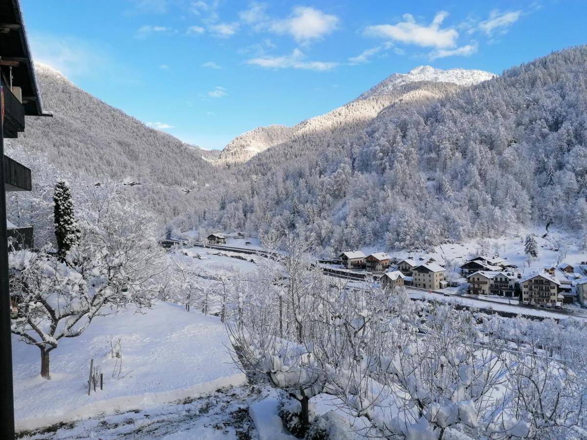Villa L'Inizio... Val di Zoldo Exterior foto